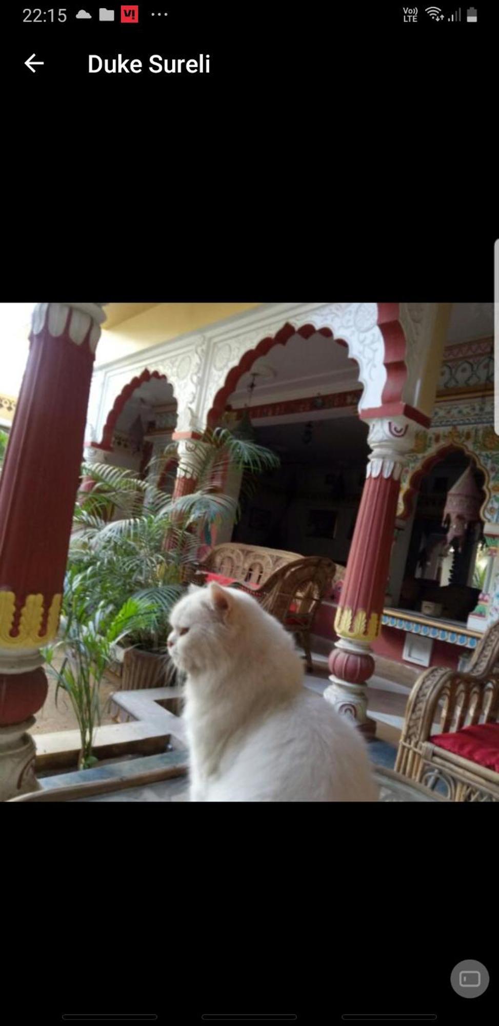 Sureli Haveli Lägenhet Jaipur Rum bild