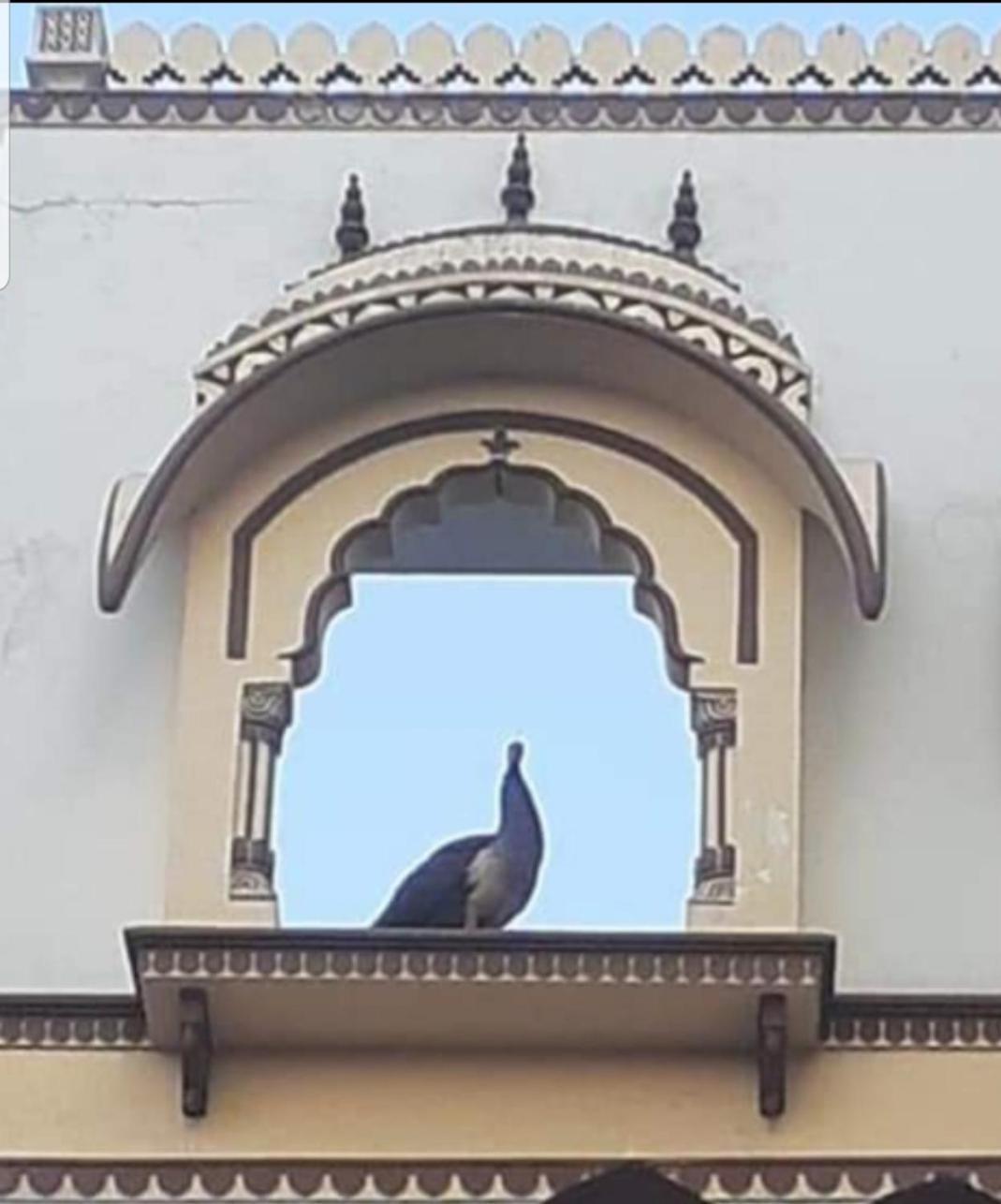 Sureli Haveli Lägenhet Jaipur Exteriör bild